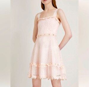 Maje Dress Rosalina Rose Lace Mini Dress Size 2 Size M • READ •